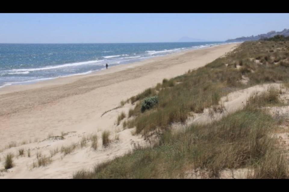 Donna stuprata su una spiaggia nudista, 5 arresti