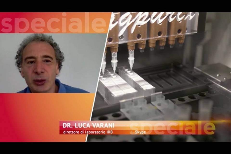 “Cerchiamo nel sangue gli anticorpi migliori”