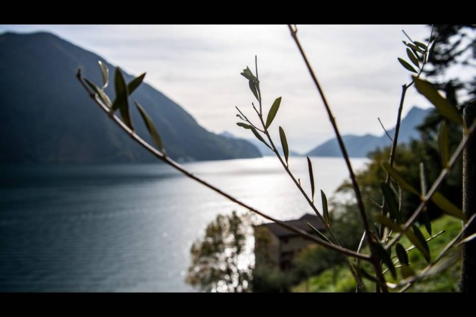 "Dopo la crisi investire per la svolta ecologica"