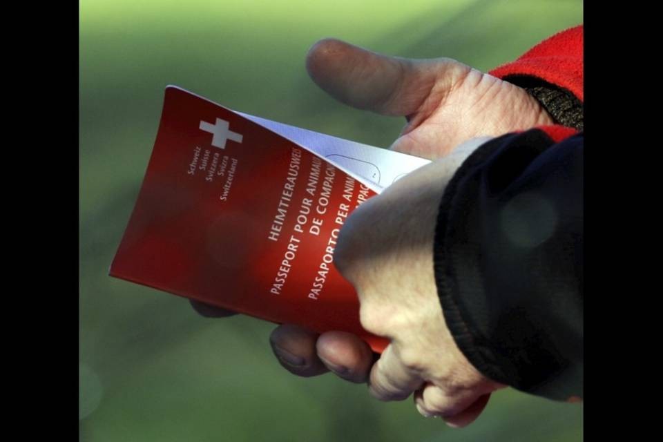 "A Lugano passaporti come le figurine Panini"