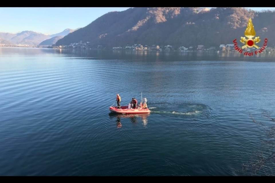 Capriolo finisce nel Lago di Lugano