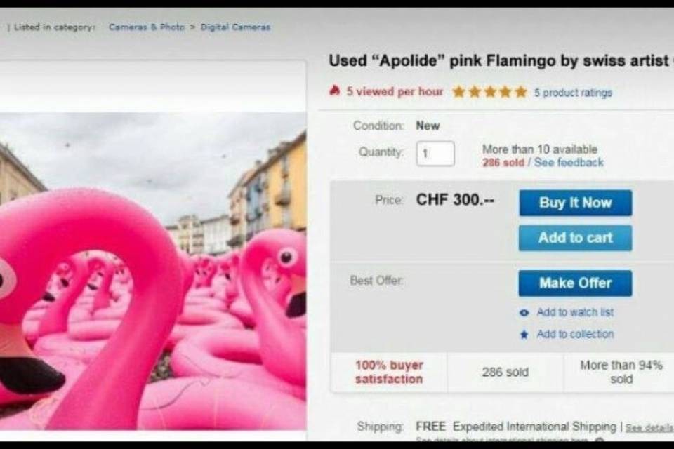 I fenicotteri rosa finiscono su eBay, ma è una burla