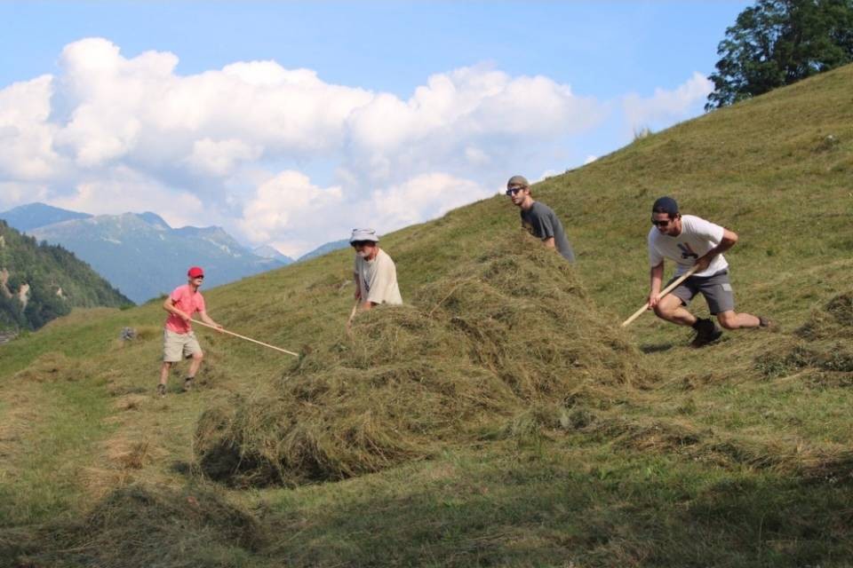 Volontari fanno fieno sul Monte Comino