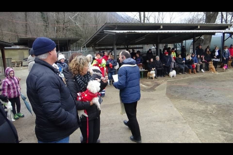 Benedetti gli animali al rifugio SPAB di Gorduno-Gnosca