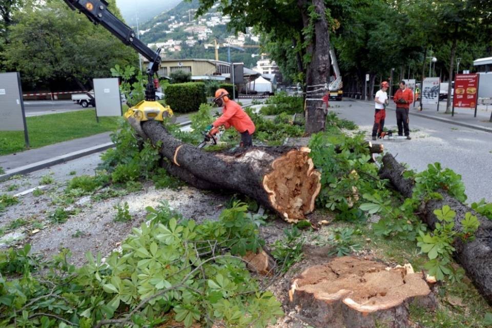 Nuovi tagli a Lugano