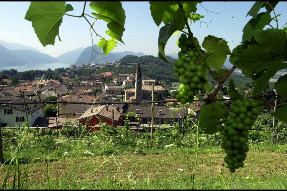 Bocciata la casa anziani di Comano