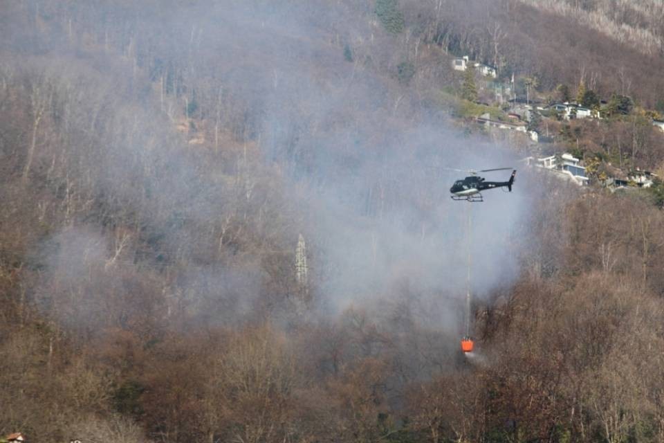Incendio nei boschi sopra Brissago