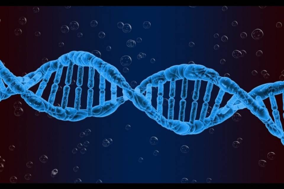 Modificato il DNA di tre bambini in Cina