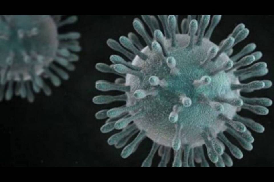 "Il coronavirus si circoscrive da solo"