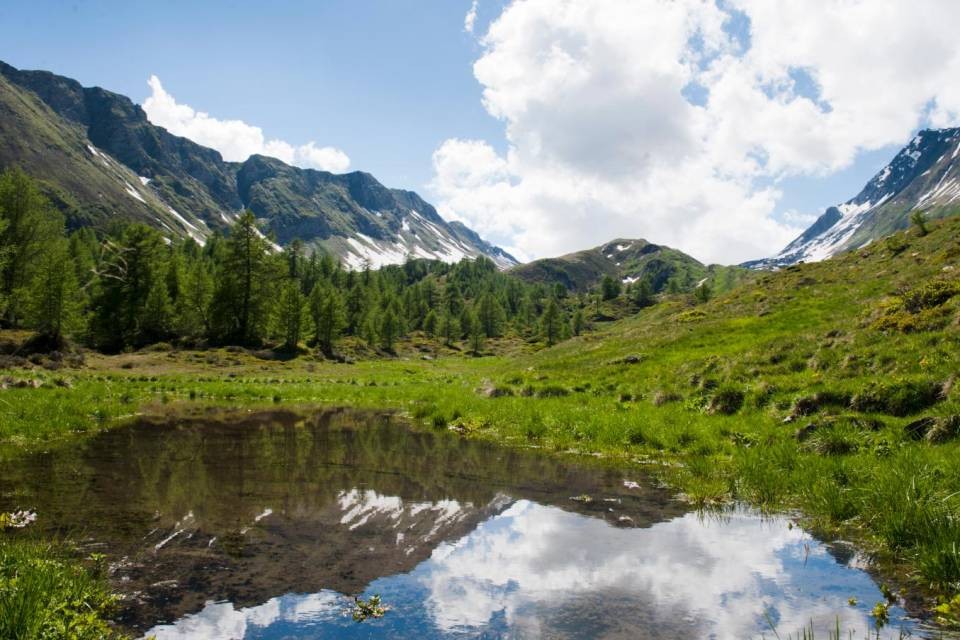 Foto © CdT/Crinari