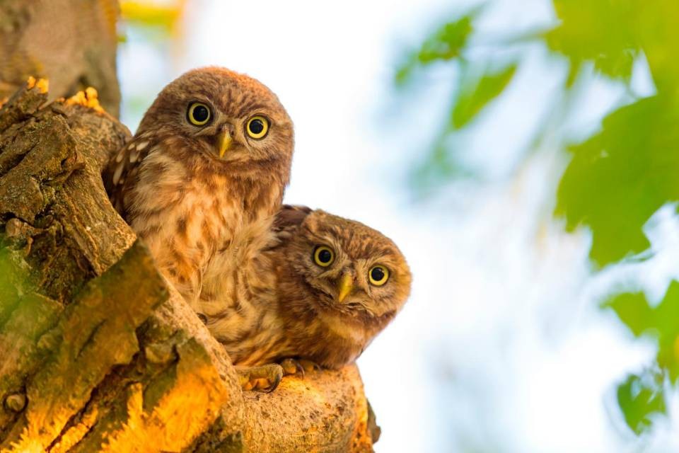 Foto Mathias Schaef