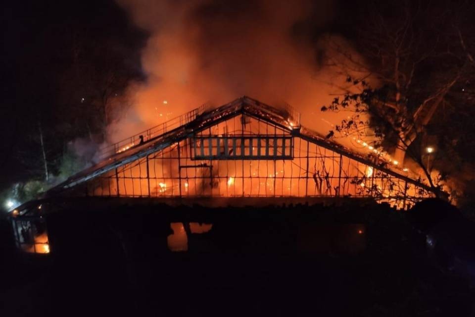 Strage di scimmie allo zoo di Krefeld