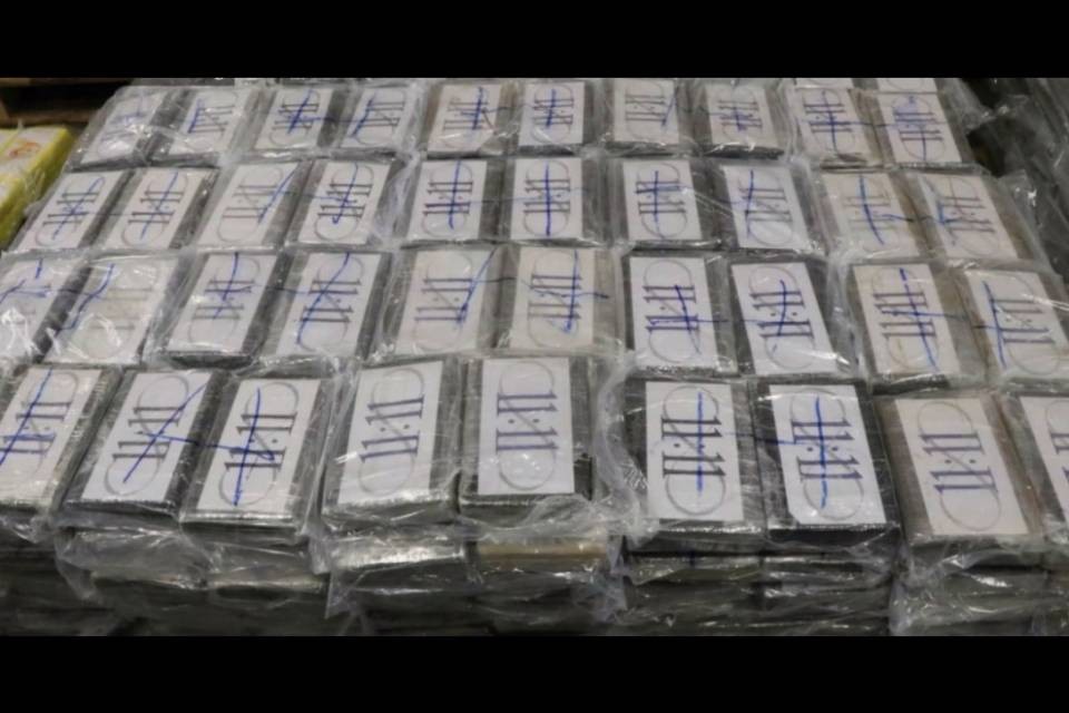 Scovate 4,5 tonnellate di coca, la polizia le distrugge in un luogo segreto