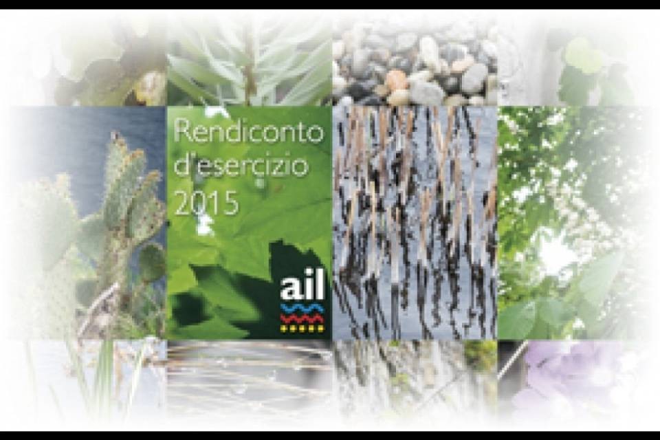 Rendiconto d'esercizio 2015
