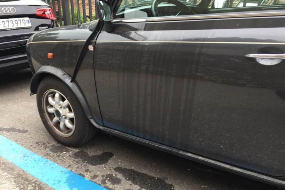 "Vandali in azione a Castagnola"