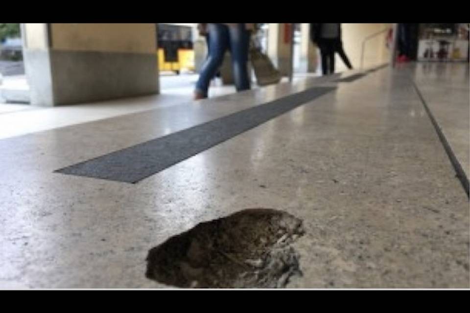 Bellinzona, il travertino romano già deteriorato?