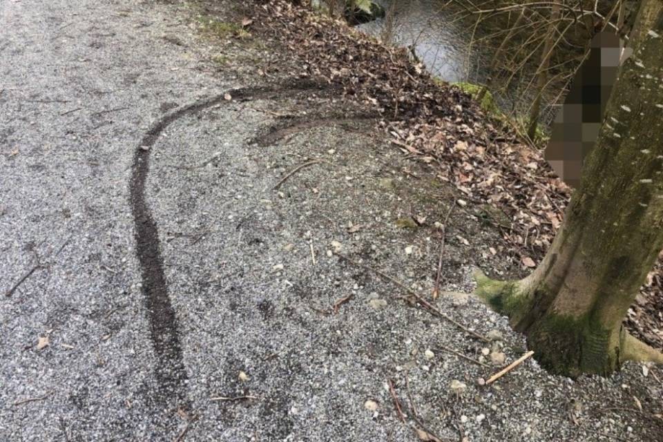 Perde il controllo della sedia a rotelle, finisce nel riale