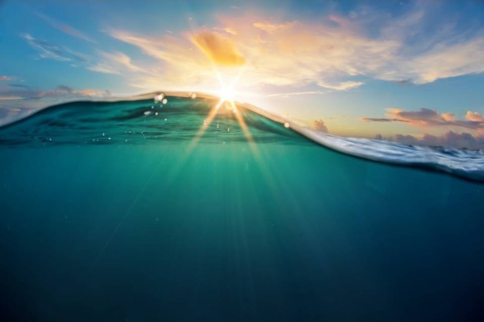 Oceani sempre più caldi, danni in aumento