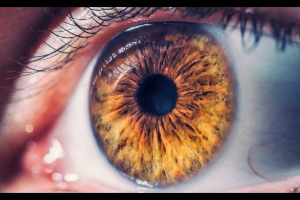Ok a lancio farmaco contro malattia rara della retina