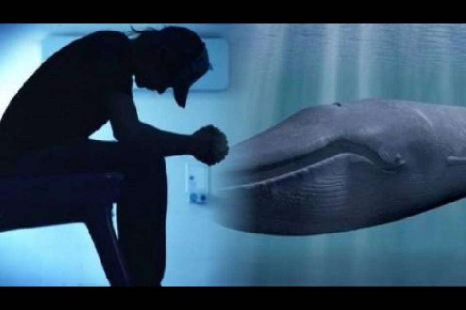 Un caso di "Blue Whale" in Ticino: si tratta di un adulto