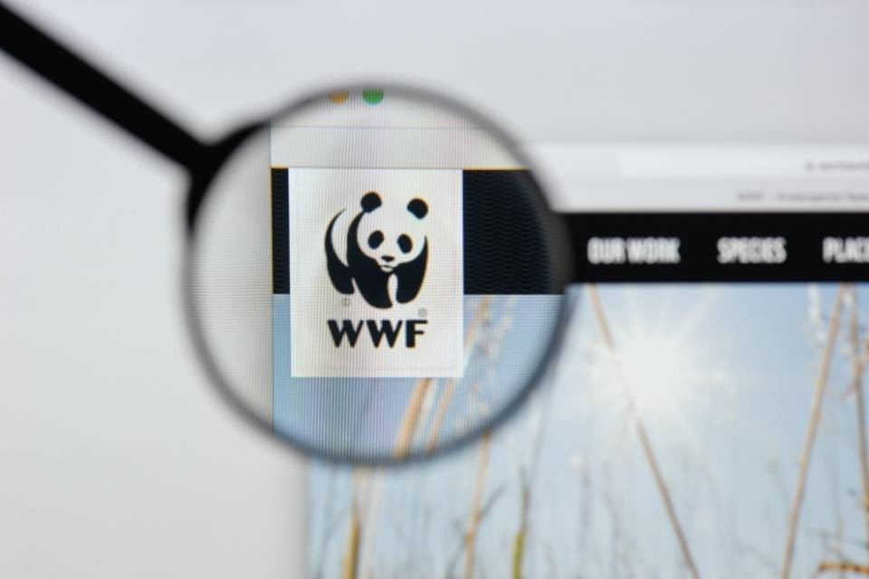 Wwf: "L'azione per clima resta una priorità"