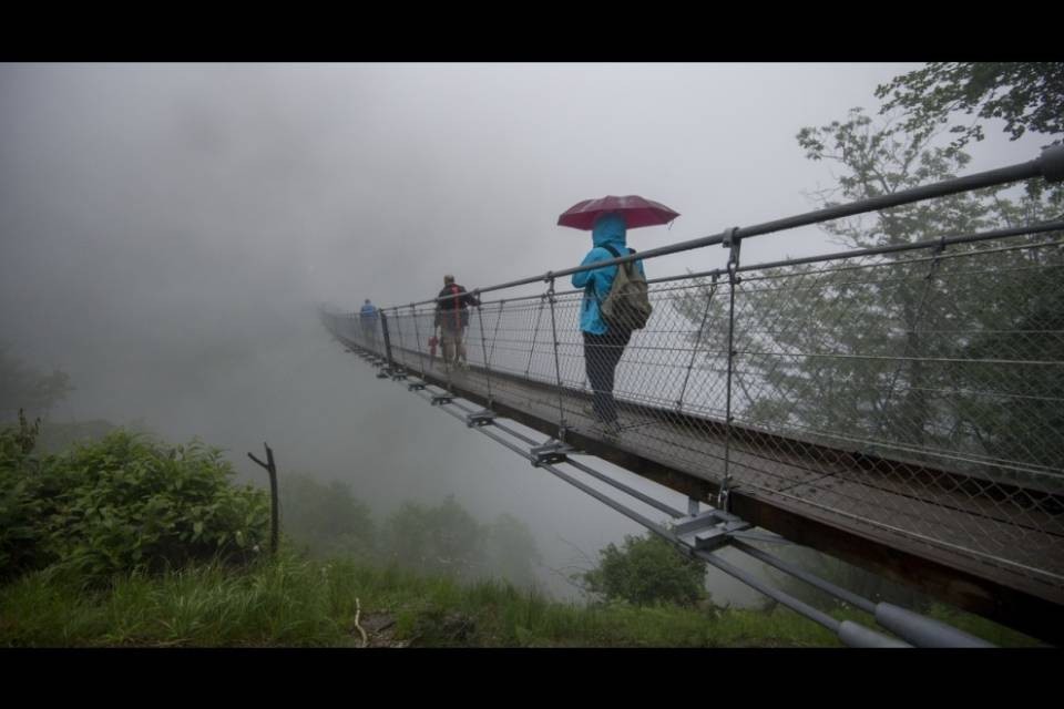 Un altro ponte tibetano in Ticino?