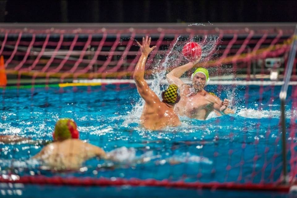 Ultime due sfide di regular season per i Lugano Sharks