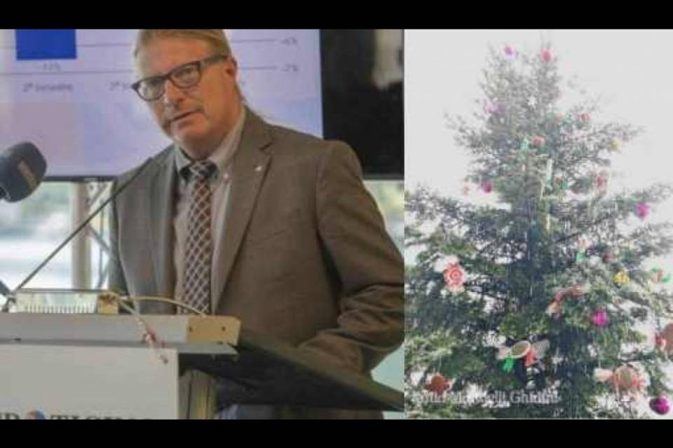 "L'albero di Natale fa schifo? La prossima volta fatelo voi..."