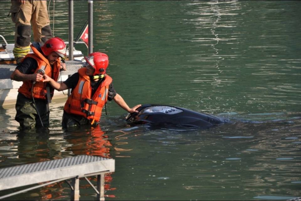 Auto finisce nel lago a Melano