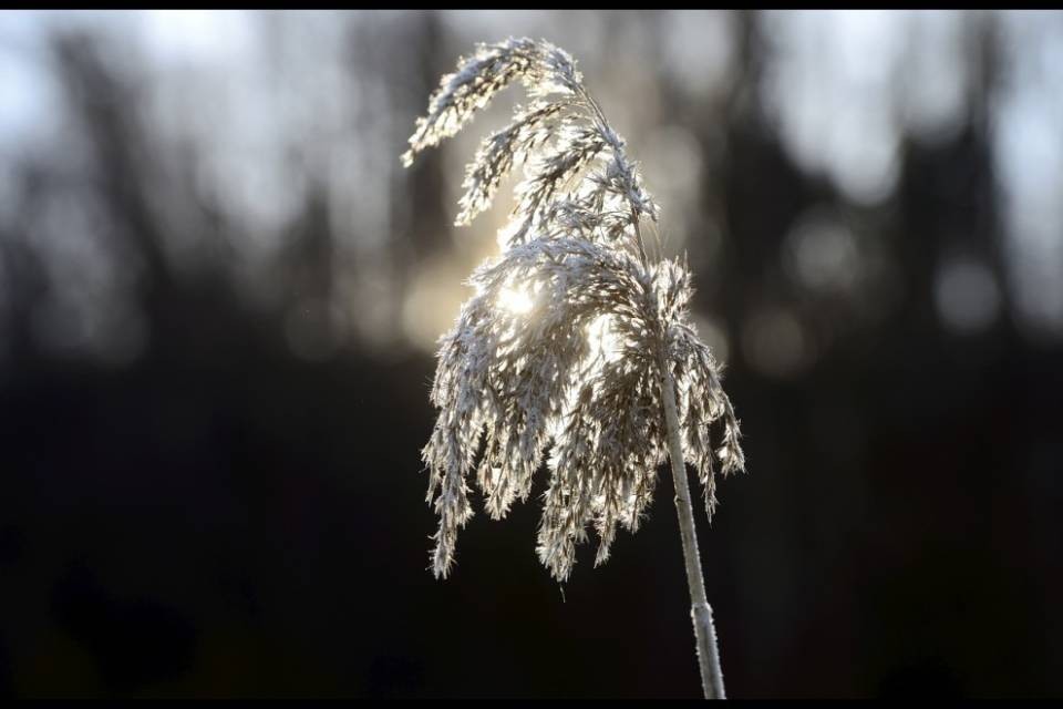 Altra notte glaciale a Nord delle Alpi
