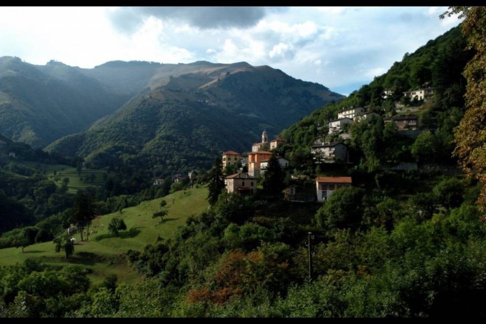 Mezzo milione per i boschi di Muggio