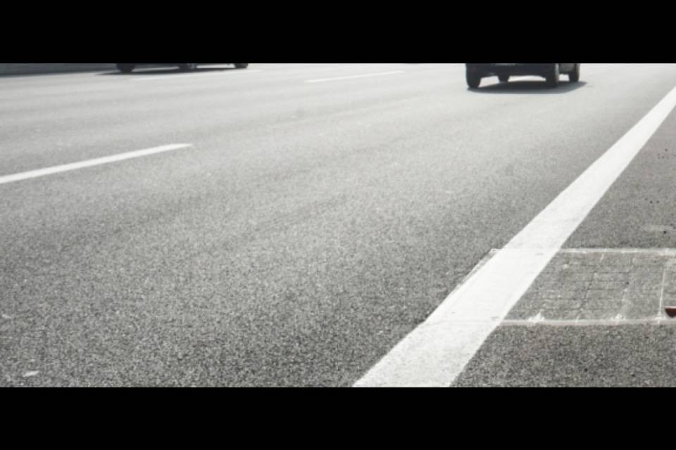 Animali in strada sull'A2