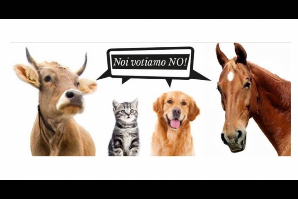 "Vogliamo un’altra caccia alle streghe come Via Sicura?"
