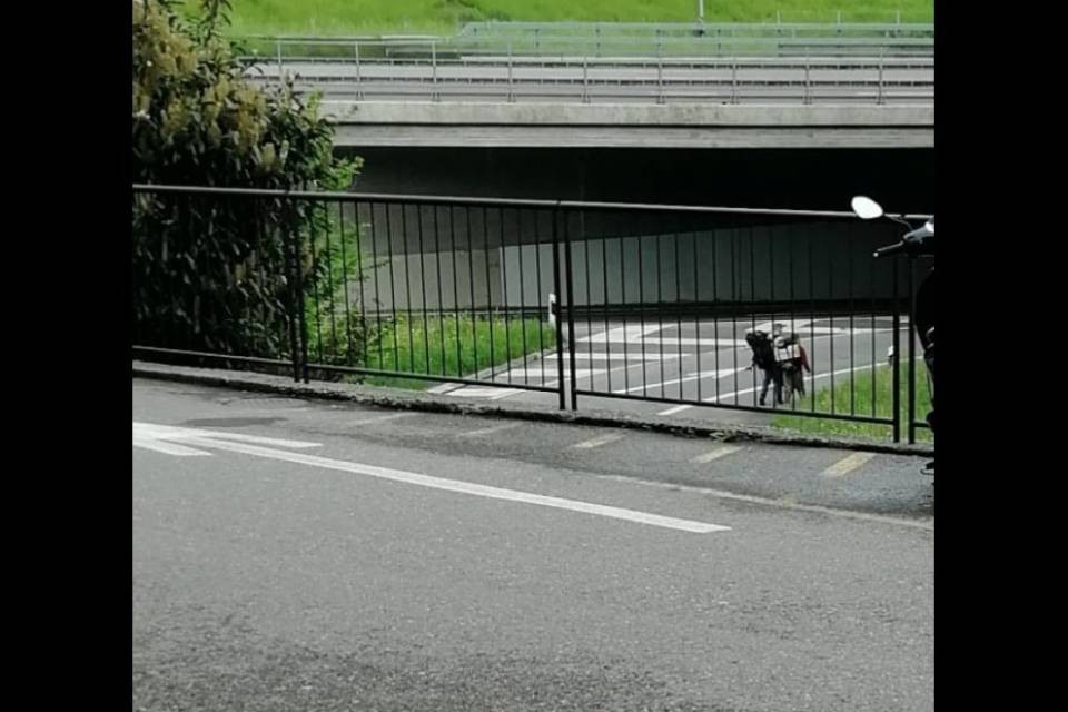 Follia in semiautostrada! Due ragazzi fanno autostop in curva