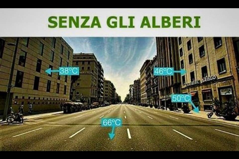 "Occorre pianificare gli spazi pubblici per i cambiamenti climatici"