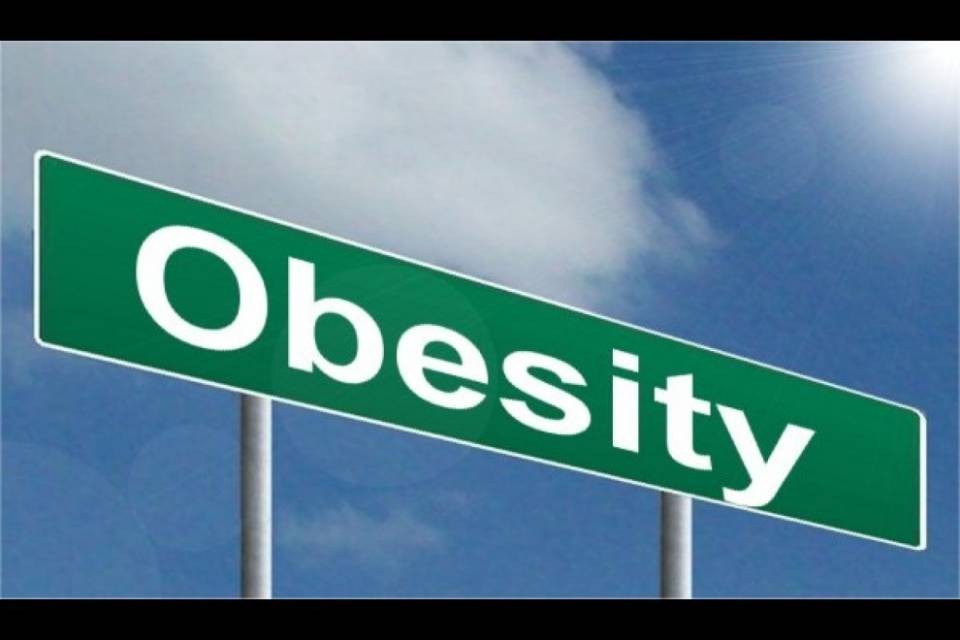 L'obesità è pericolosa anche per i neuroni