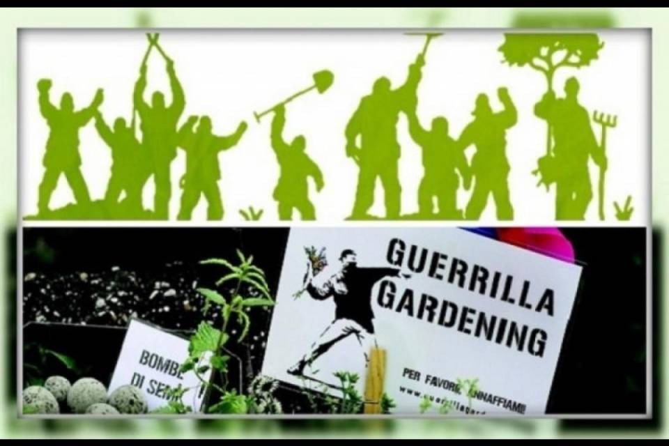 'Guerrilla gardening' in Piazza del ponte