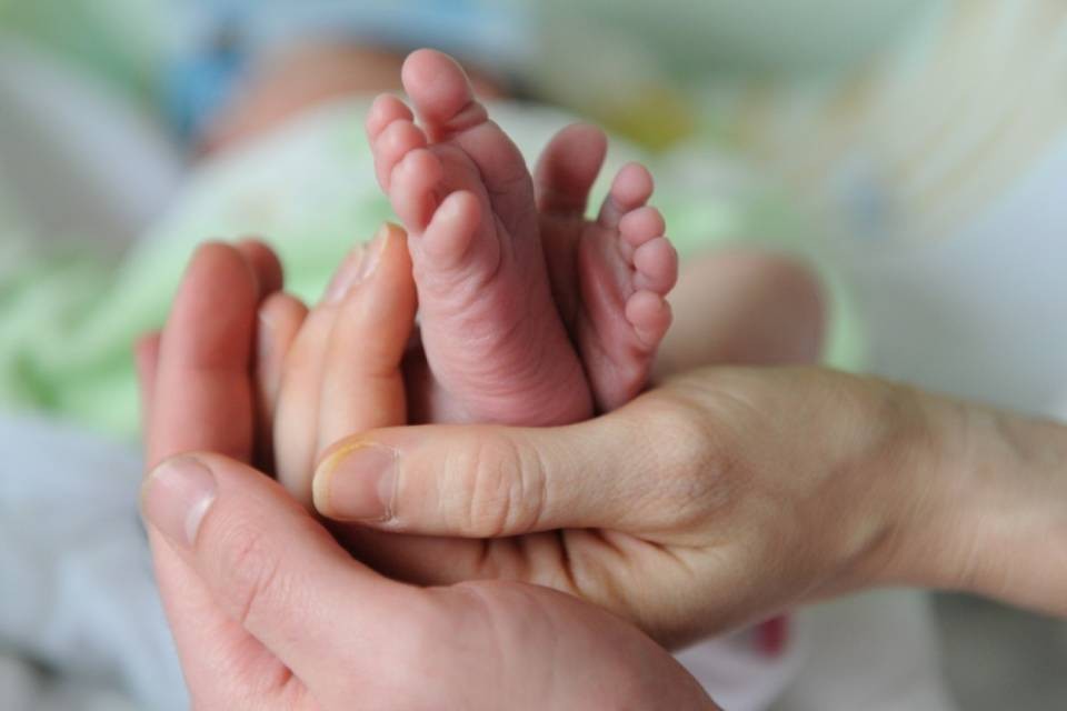 Nascite da record nel 2015