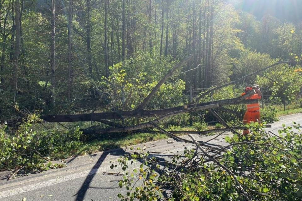 Lostallo, alberi cadono sulla cantonale e l'A13
