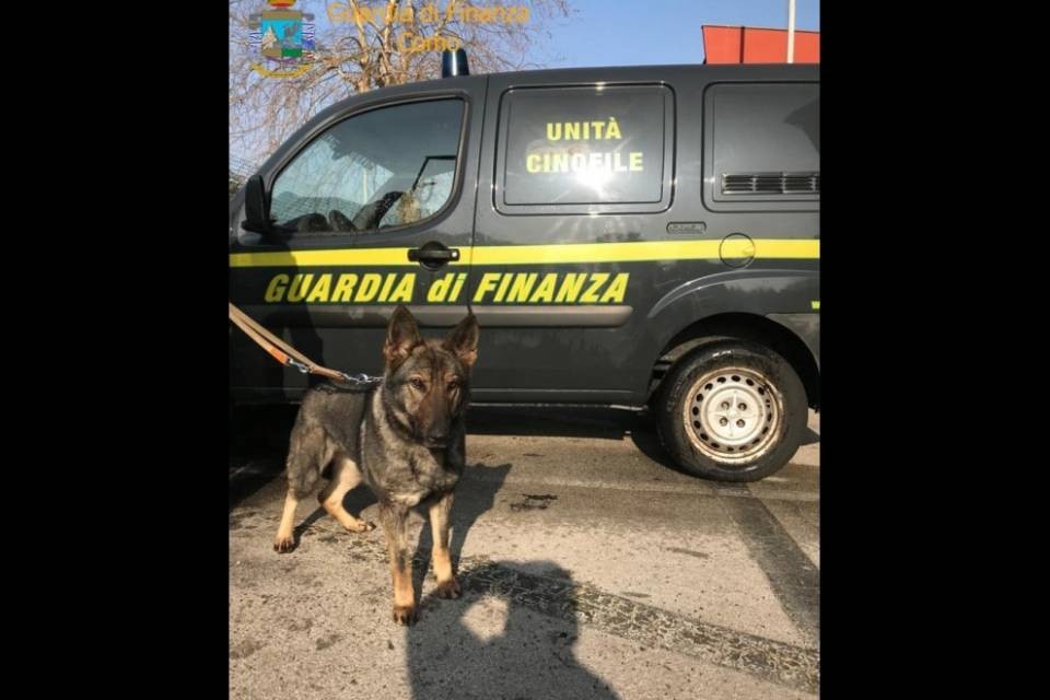 Fermato a Brogeda con 23 chili di droga, patteggia 4 anni e mezzo