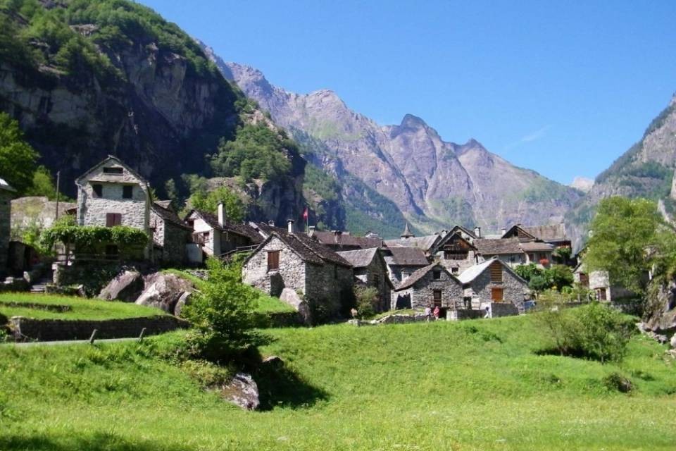 Anche l'Alleanza patriziale è con Norman
