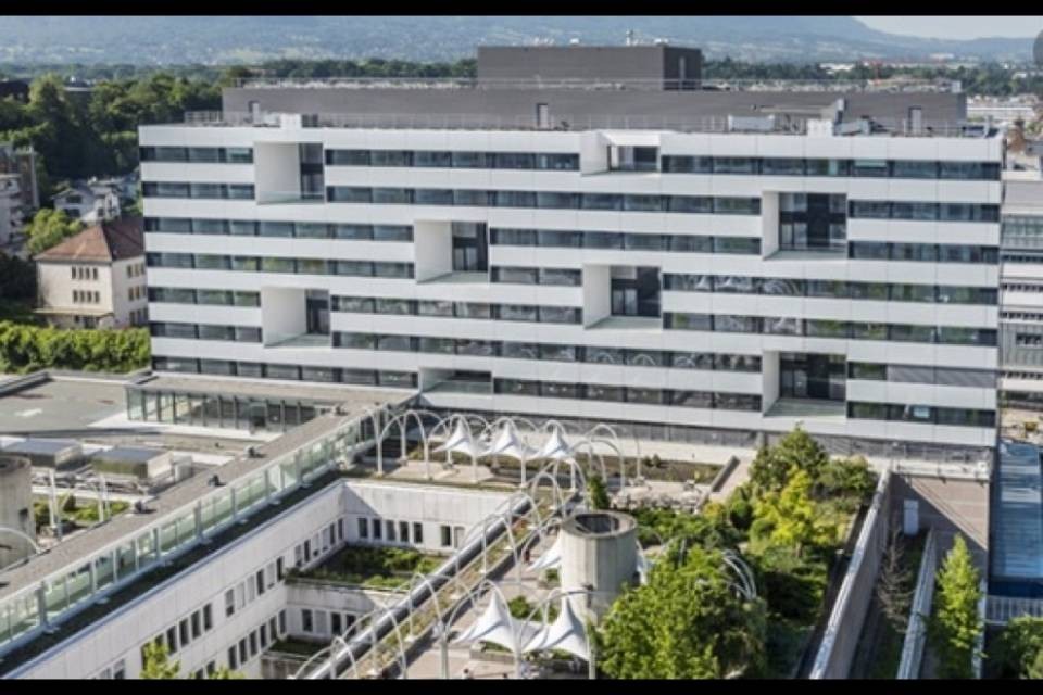 Il 10% della popolazione ginevrina ha contratto il virus