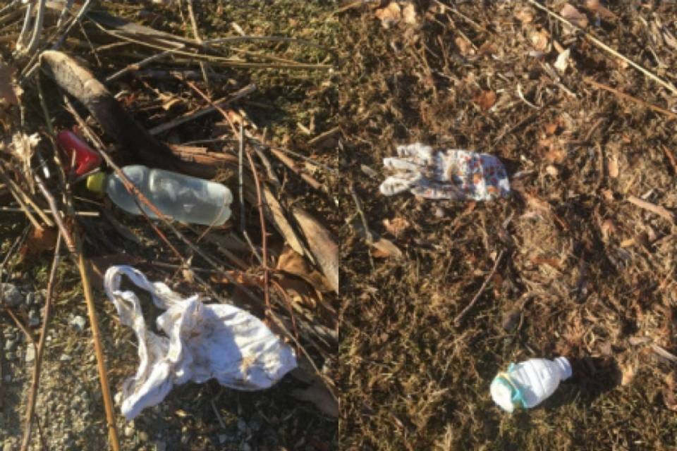 "Locarno, quanta sporcizia al Lido! Se il comune non interviene faremo noi"