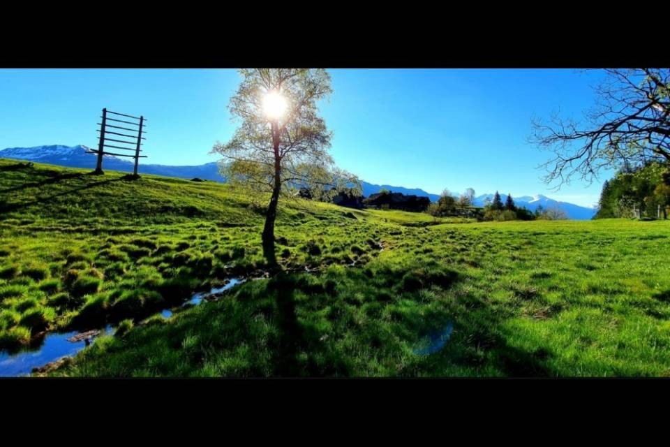 La politica agricola svizzera costa oltre 20 miliardi di franchi
