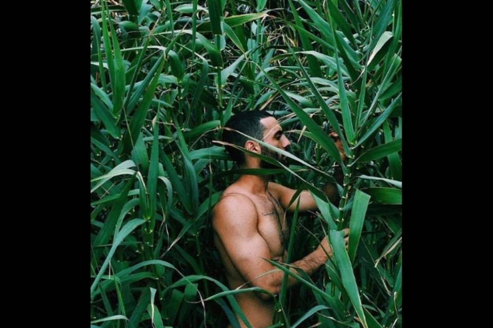 Boys with plants, sexy uomini in posa tra i vegetali