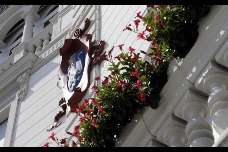 AAA cercasi consigliere comunale a Locarno