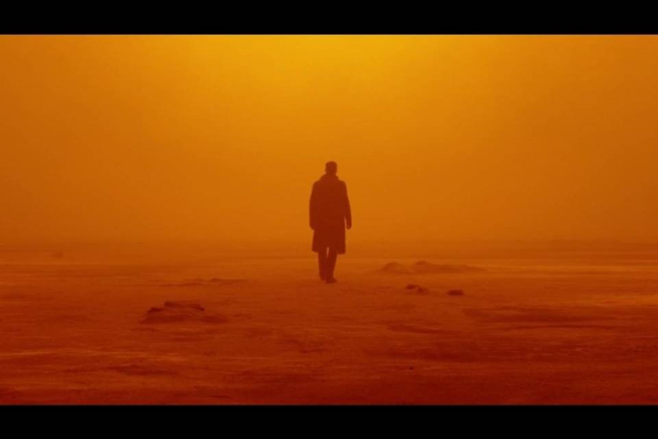 "Sono andato a vedere il nuovo Blade Runner e..."
