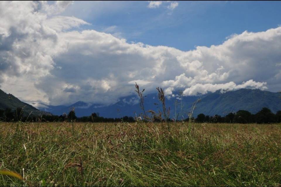 Quell'area agricola non si tocca, i Verdi soddisfatti dal TF