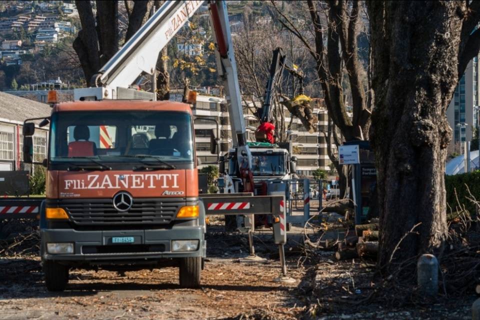 Sono aumentati gli alberi a Lugano