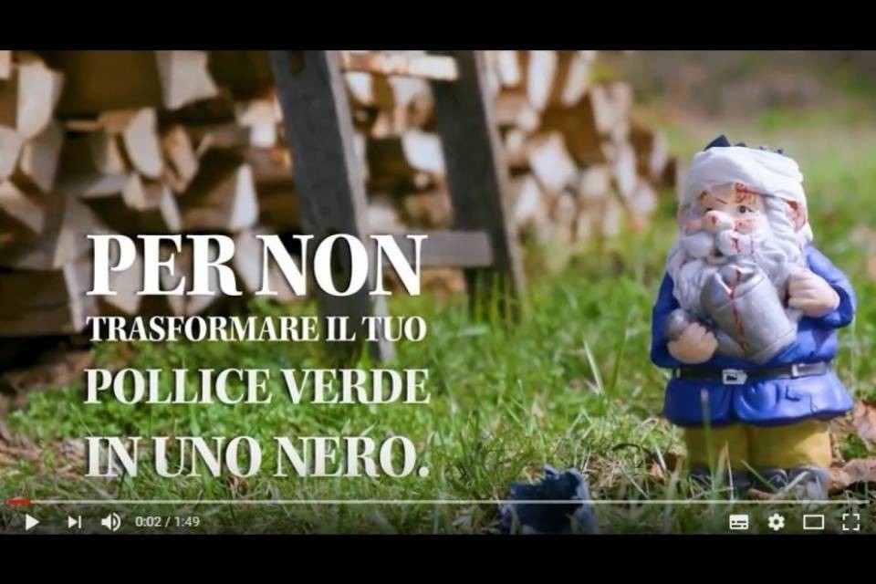 Consigli utili per non trasformare il tuo pollice verde in uno nero...